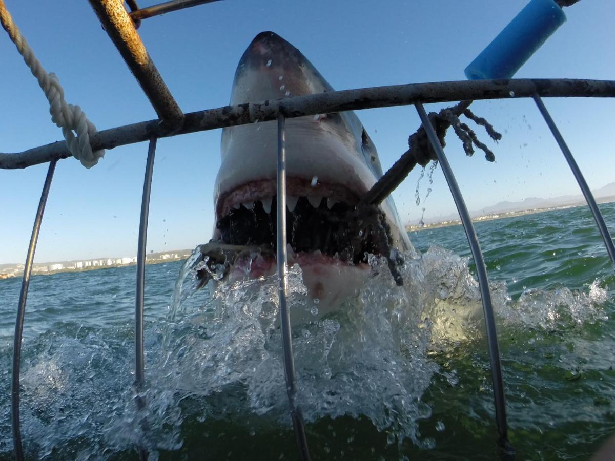 De Valle 47 Lejlighed Mossel Bay Eksteriør billede